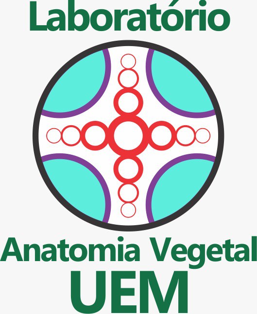 Logo_Lab_Anatomia_Vegetal.jpg