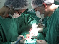 IMG_2395.jpg IMG_2395.jpg