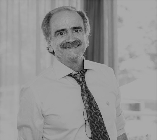 vidigal.gif vidigal.gif