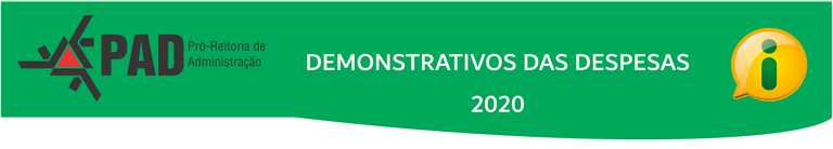 Demonstrativos Desp. 2020.png