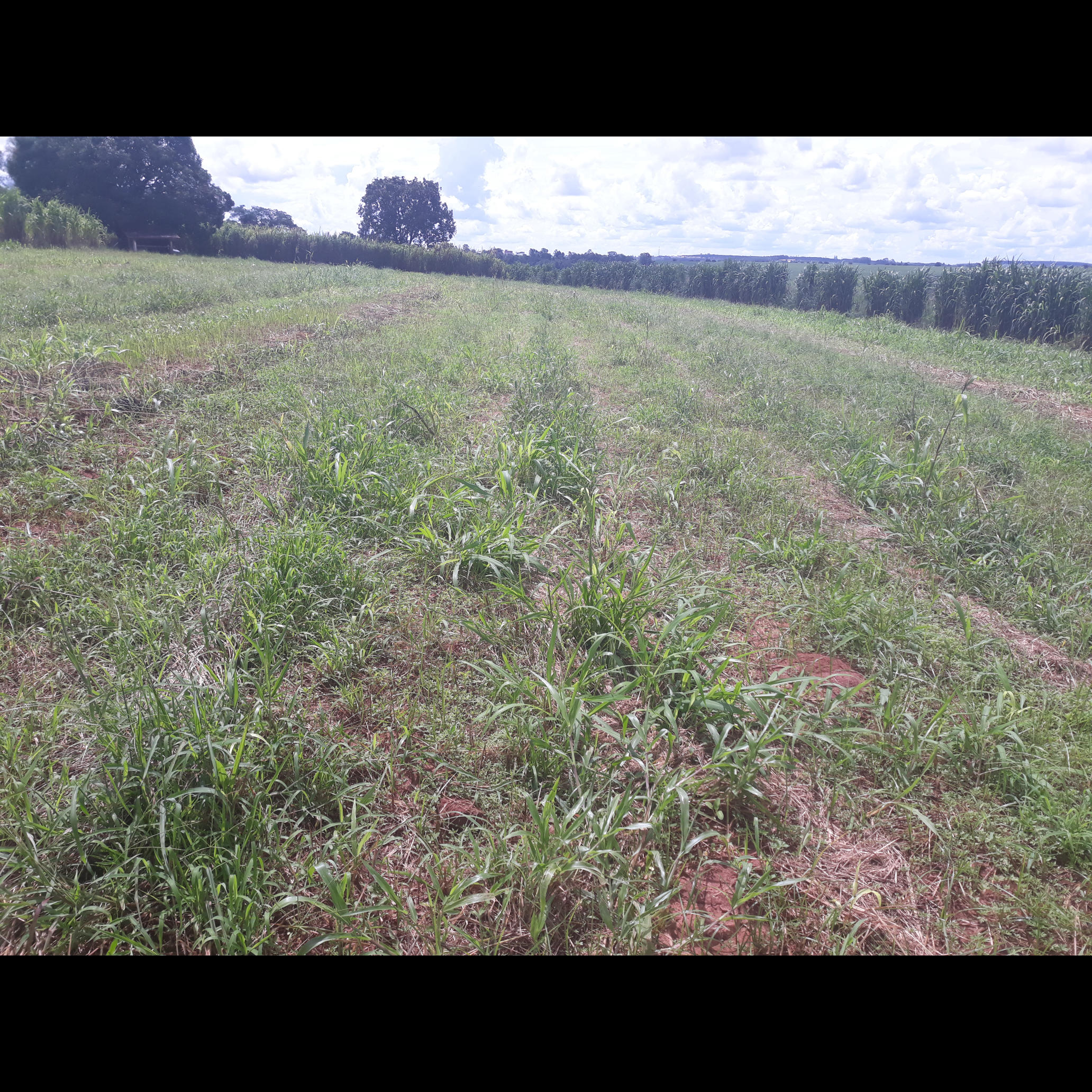 20210202_143245.jpg.jpg 20210202_143245.jpg.jpg