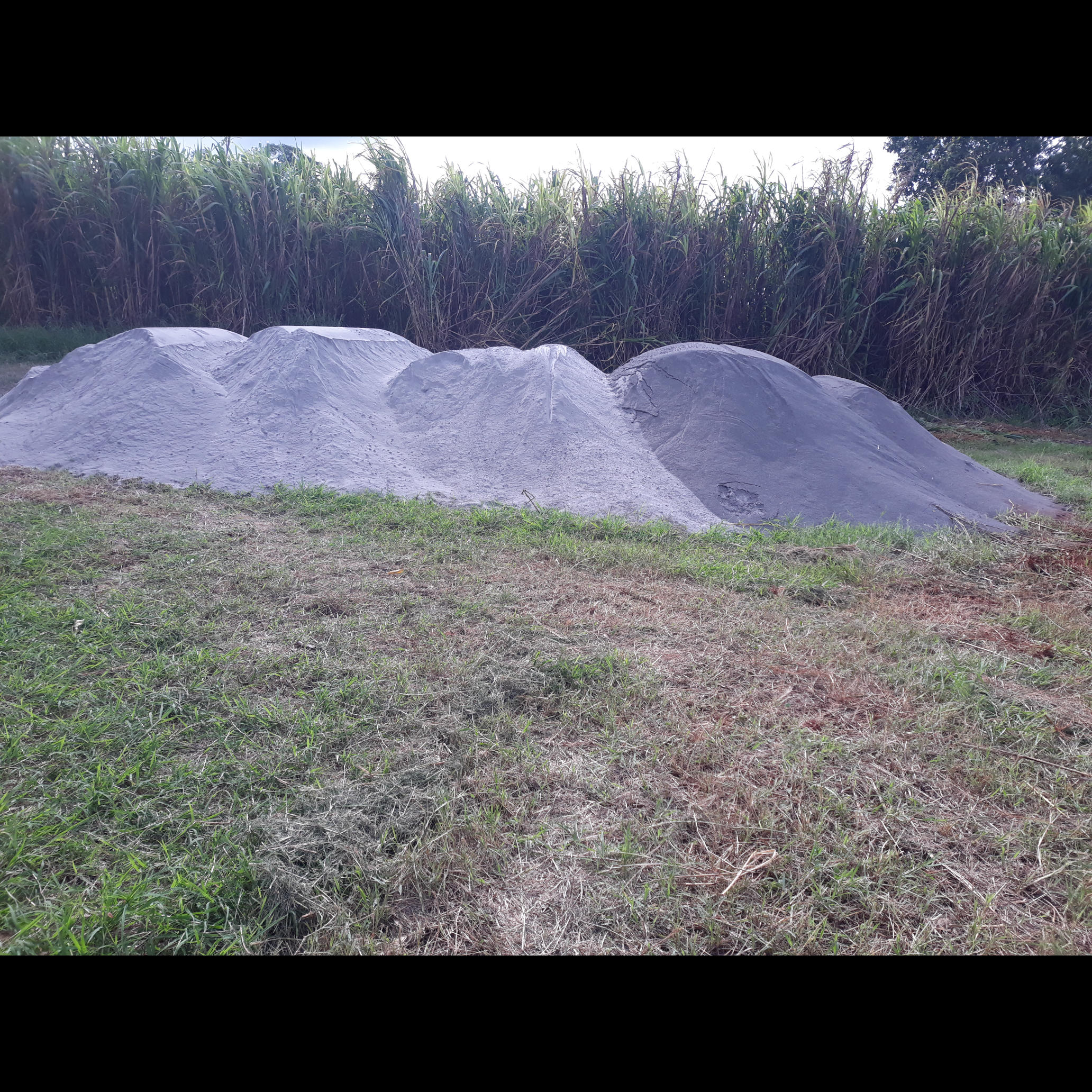 20210211_162332.jpg.jpg 20210211_162332.jpg.jpg