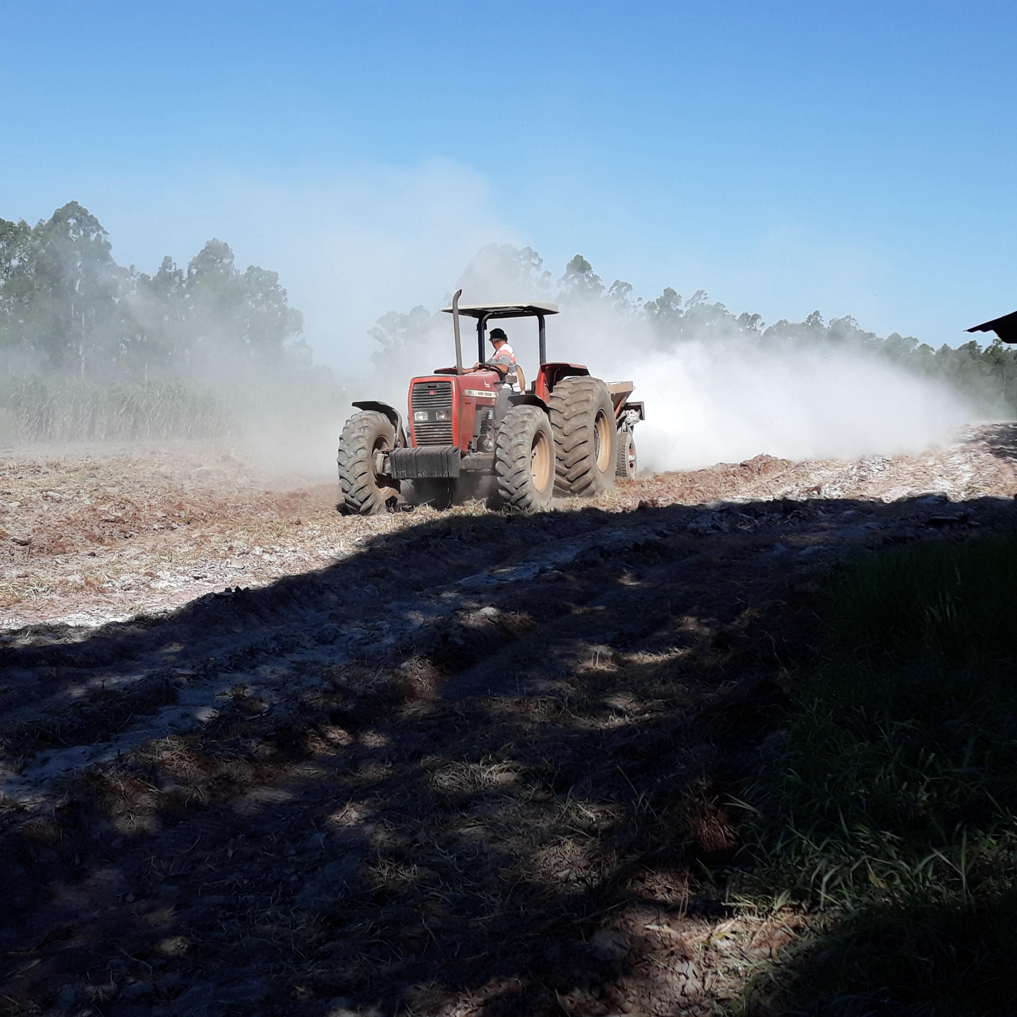 20210219_162908.jpg.jpg 20210219_162908.jpg.jpg