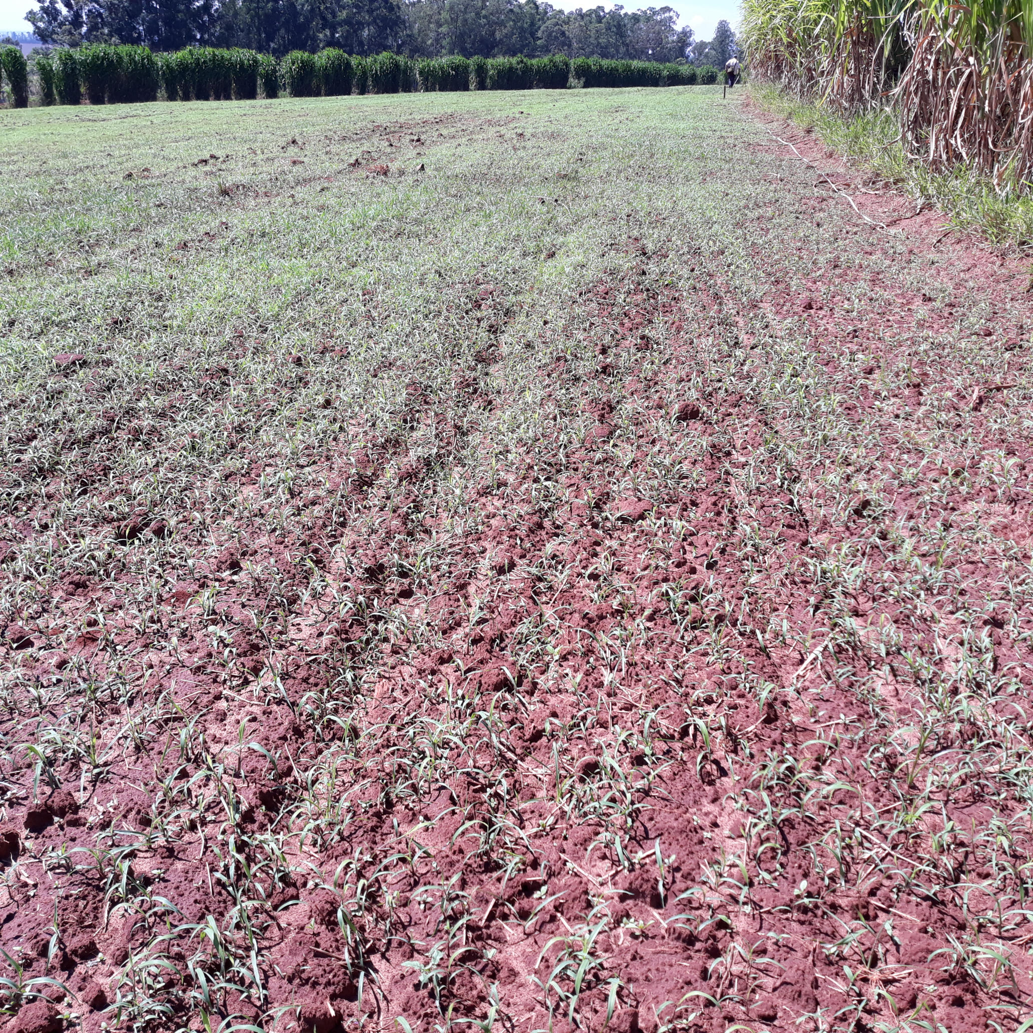 20210318_110121.jpg.jpg 20210318_110121.jpg.jpg