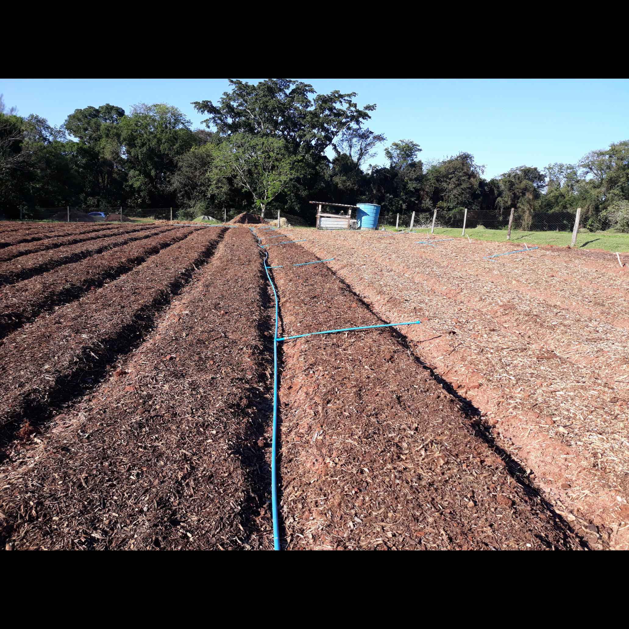 20200827_162204.jpg.jpg 20200827_162204.jpg.jpg