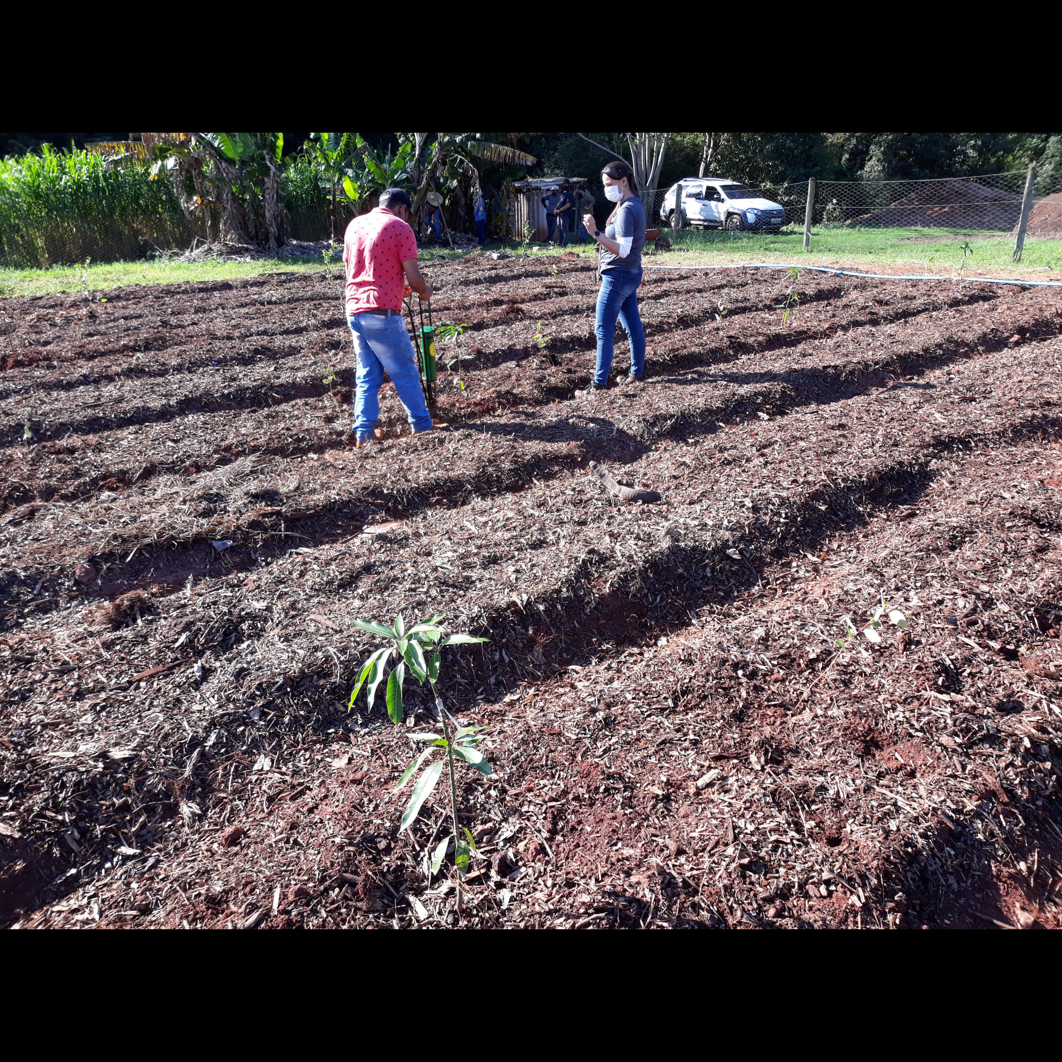 20200829_155536.jpg.jpg 20200829_155536.jpg.jpg