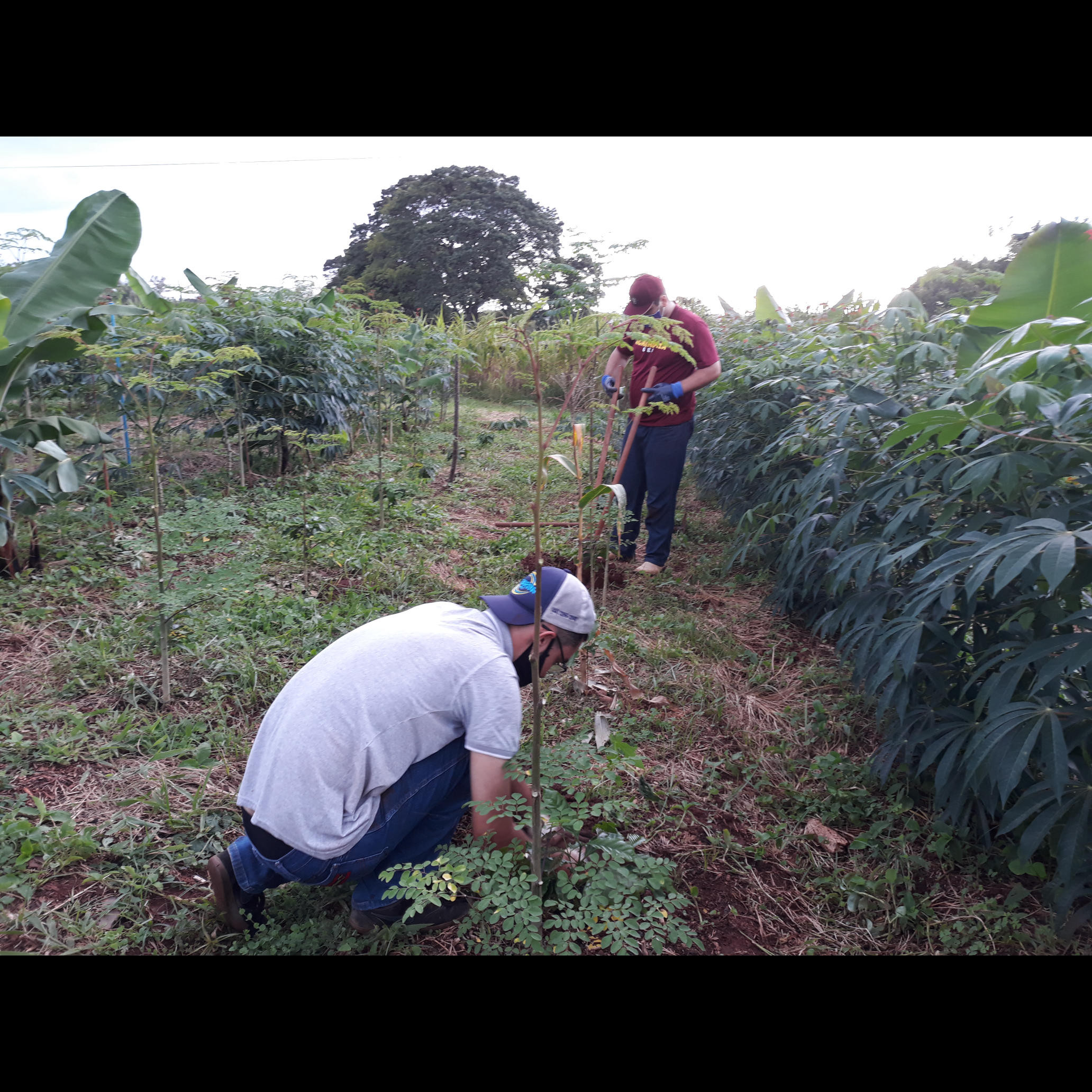 20210129_175424.jpg.jpg 20210129_175424.jpg.jpg