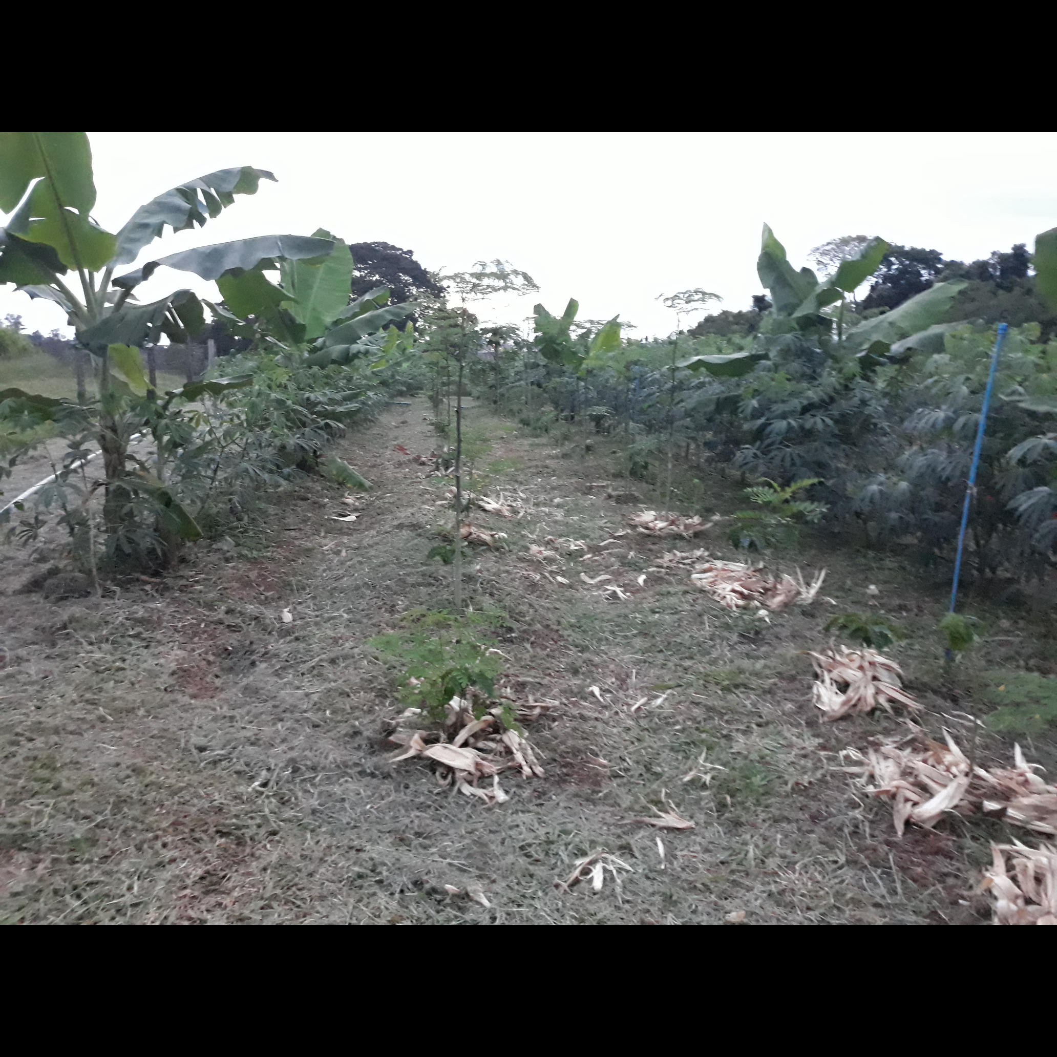 20210210_192041.jpg.jpg 20210210_192041.jpg.jpg