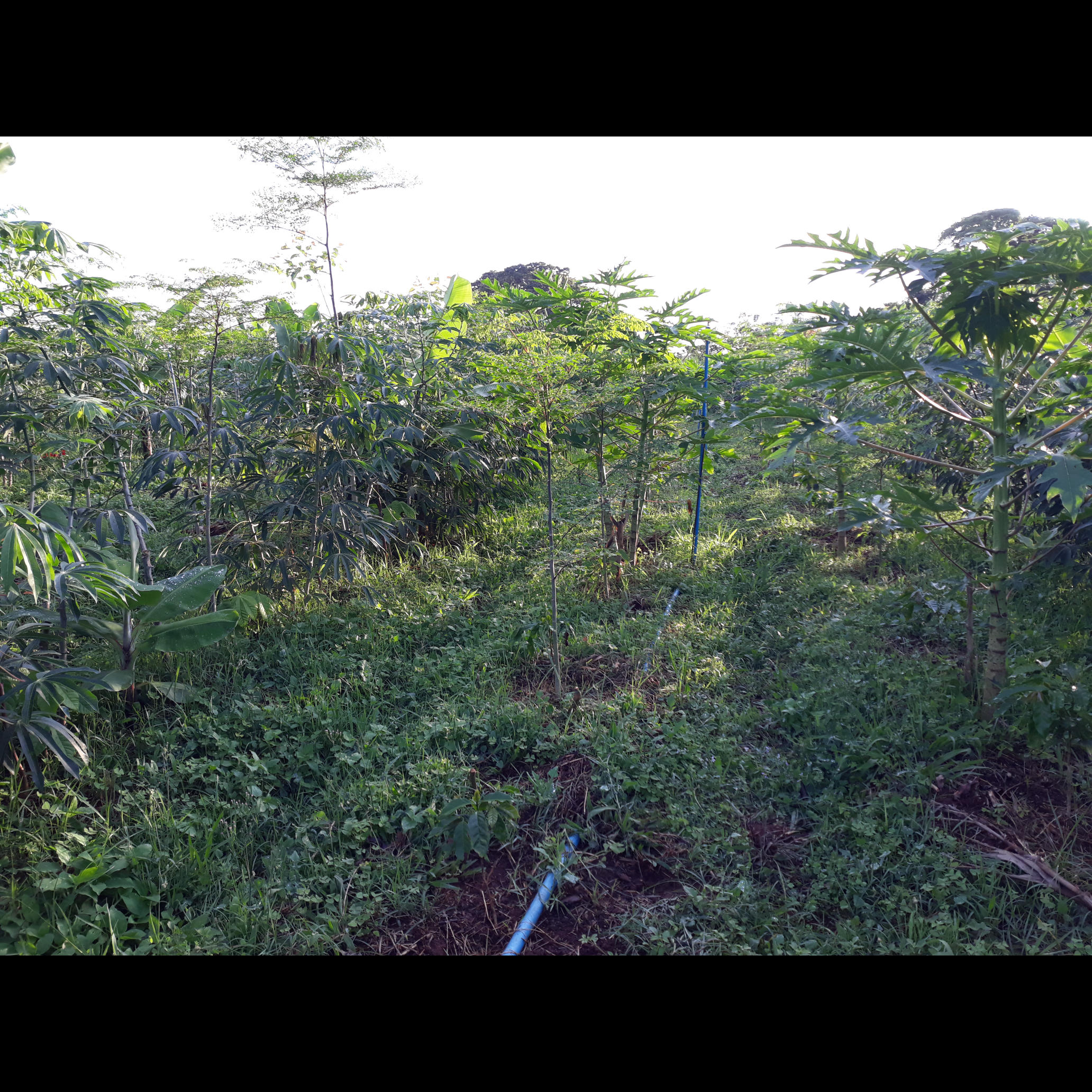 20210307_181429.jpg.jpg 20210307_181429.jpg.jpg