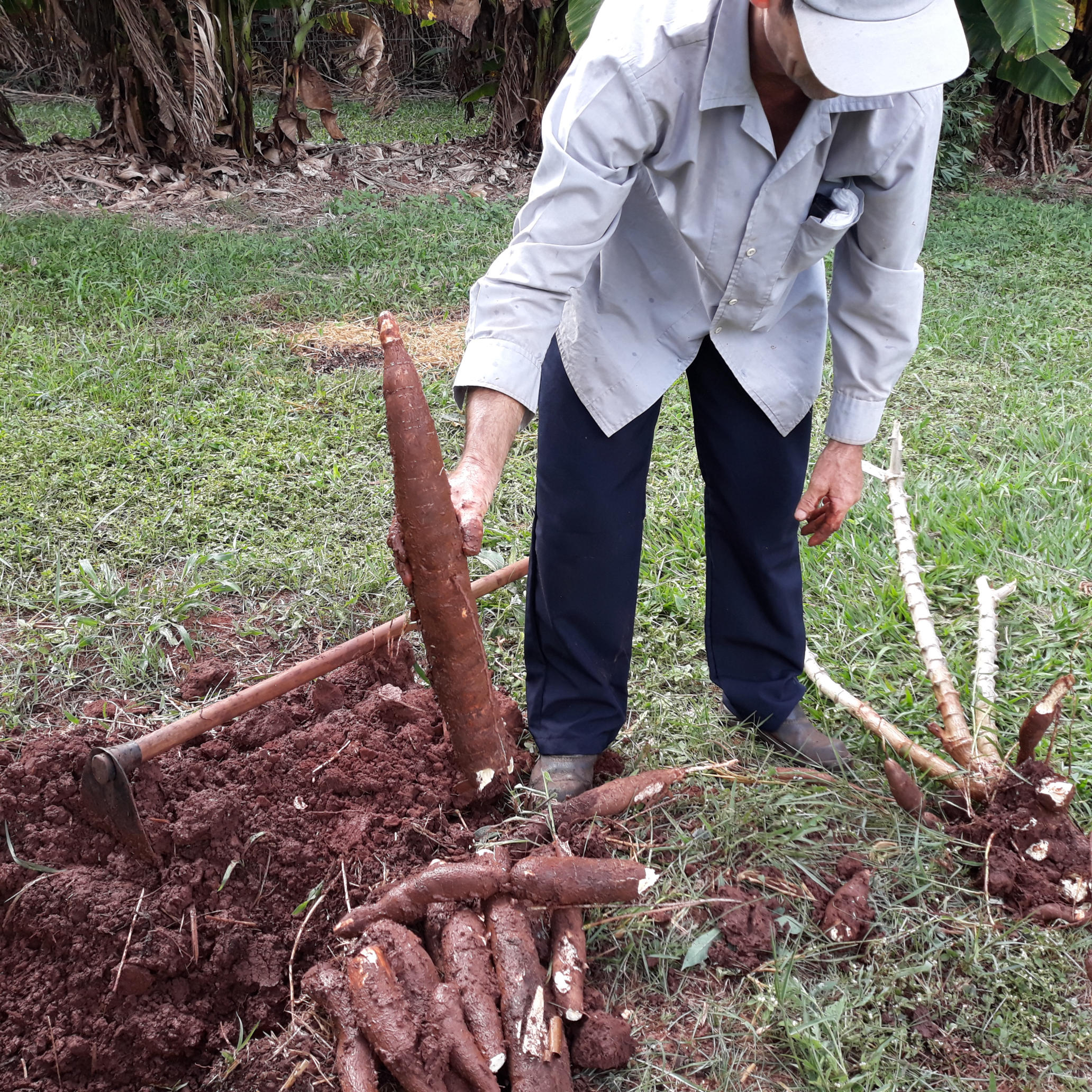 20210330_151220.jpg.jpg 20210330_151220.jpg.jpg