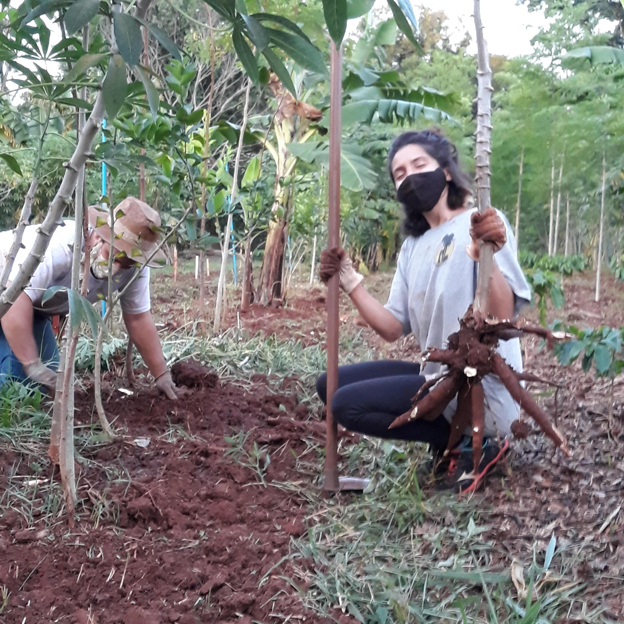 20210411_181602.jpg.jpg 20210411_181602.jpg.jpg