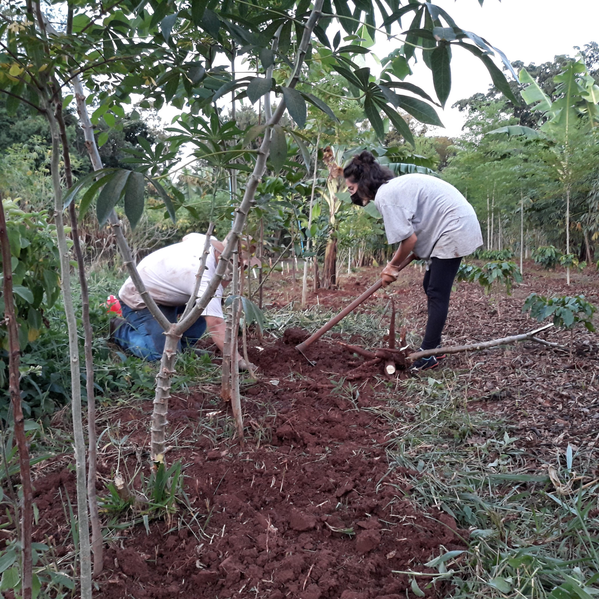 20210411_181652.jpg.jpg 20210411_181652.jpg.jpg