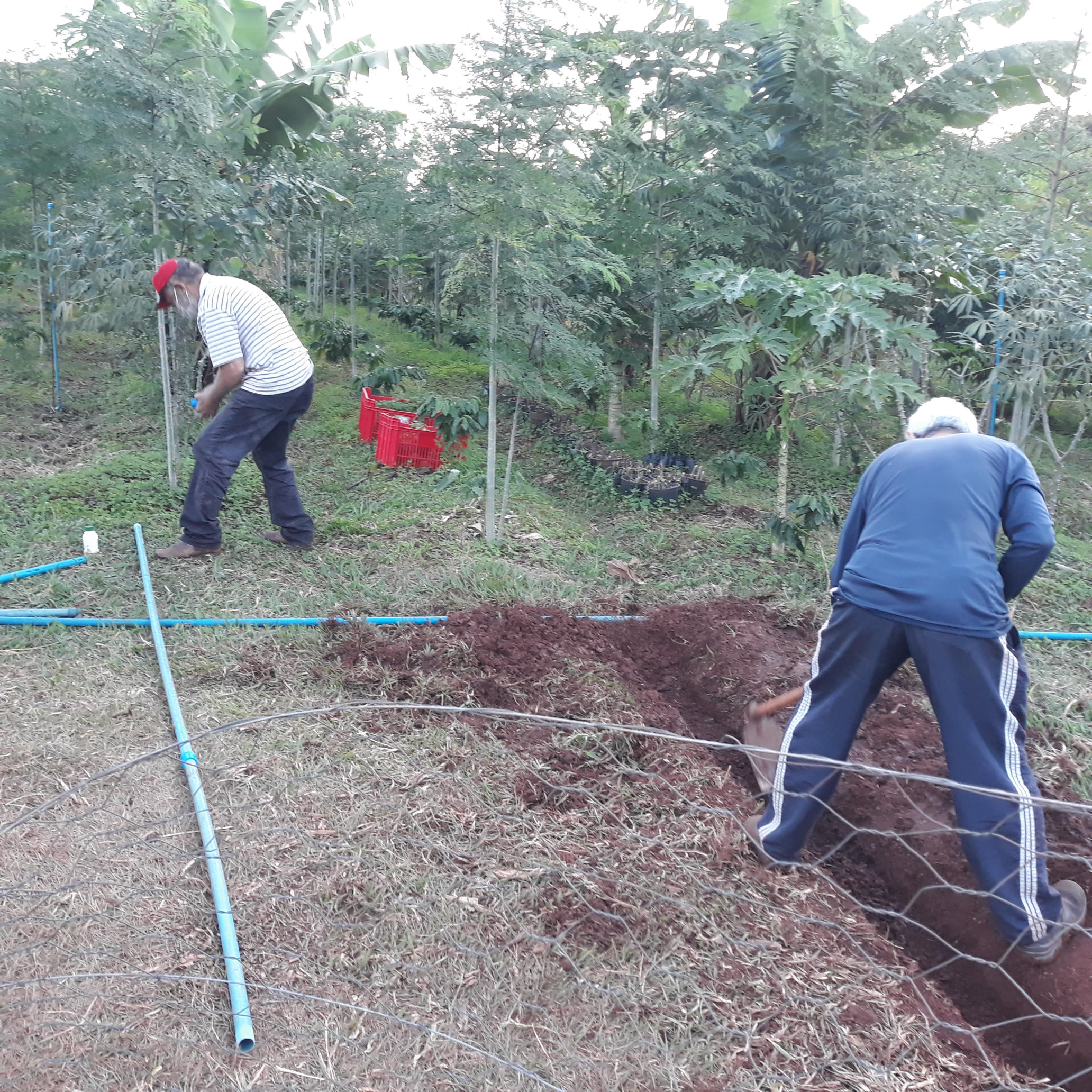 20210507_174451.jpg.jpg 20210507_174451.jpg.jpg